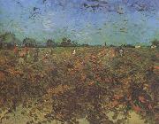 Vincent Van Gogh The Green Vineyard (nn04) oil painting on canvas